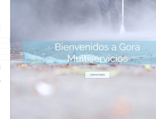 Gora Multiservicios